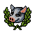 PIG01_HHAU