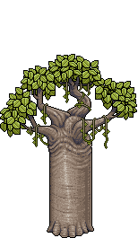 Baobab image