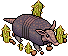 Armadillo image