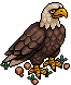 Aquila image