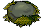 Roccia con Muschio image
