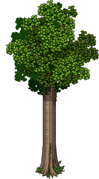 Grande Albero image