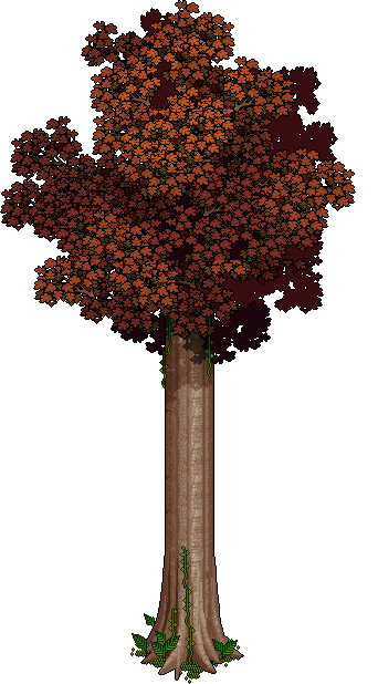 Albero Autunnale Alto image