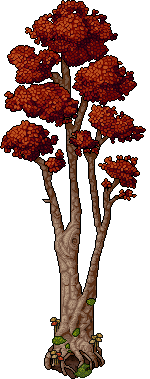 Albero con rami Autunnale image