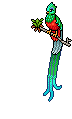 Quetzal image
