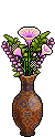 Vaso Malva image