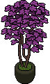 Pianta d'Appartamento Viola image