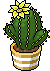 Cactus con Fiore Giallo Limone image