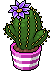 Cactus con Fiore Indaco image