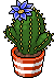 Cactus con Fiore Azzurro image