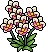 Pianta di Orchidea image