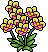 Orchidee Gialle image