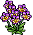 Orchidee Viola image