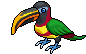Tucano dal Becco Oro image