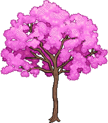 Albero Lapacho image