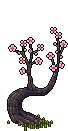 Albero di Ciliegie image