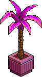 Albero Pazzo image