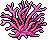 Millepora Rosa image