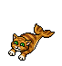 Pesce Gatto image