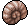 Conchiglia a Spirale color Sabbia image