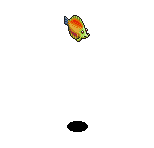 Pesce Tropicale image
