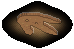Orma di Dinosauro a tre dita image
