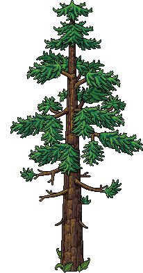 Albero di Ginkgo image