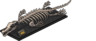 Scheletro Mosasaurus