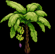Banano image