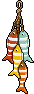 ducket_c26_decofish name