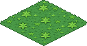 Erba Coniglia image