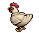 Pollo image