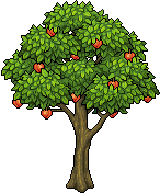 Albero di Pesche image