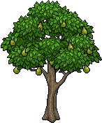 Albero di Pere image