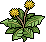 Fiori appassiti image