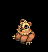 Baby Orso Gufo image