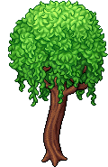 Albero che sussurra image