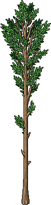 Albero Sottile image