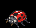 Coccinella Comune image