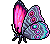 Farfalla Morpho Eclettica image
