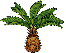 Palma Rotonda image