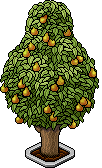 Albero da Frutto image