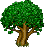 Albero dell'Amicizia image