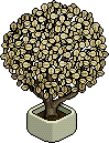 Albero Bianco image