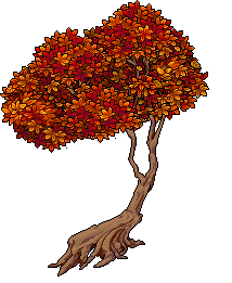 Albero Panchina Autunnale