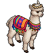 Alpaca Grace image