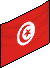 Bandiera della Tunisia image