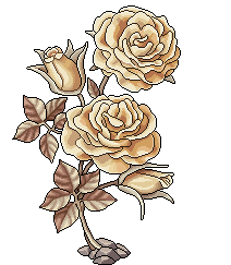 Rose Fiorenti Incantate