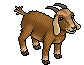 Capra Lamancha image