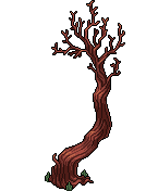 Albero morente image